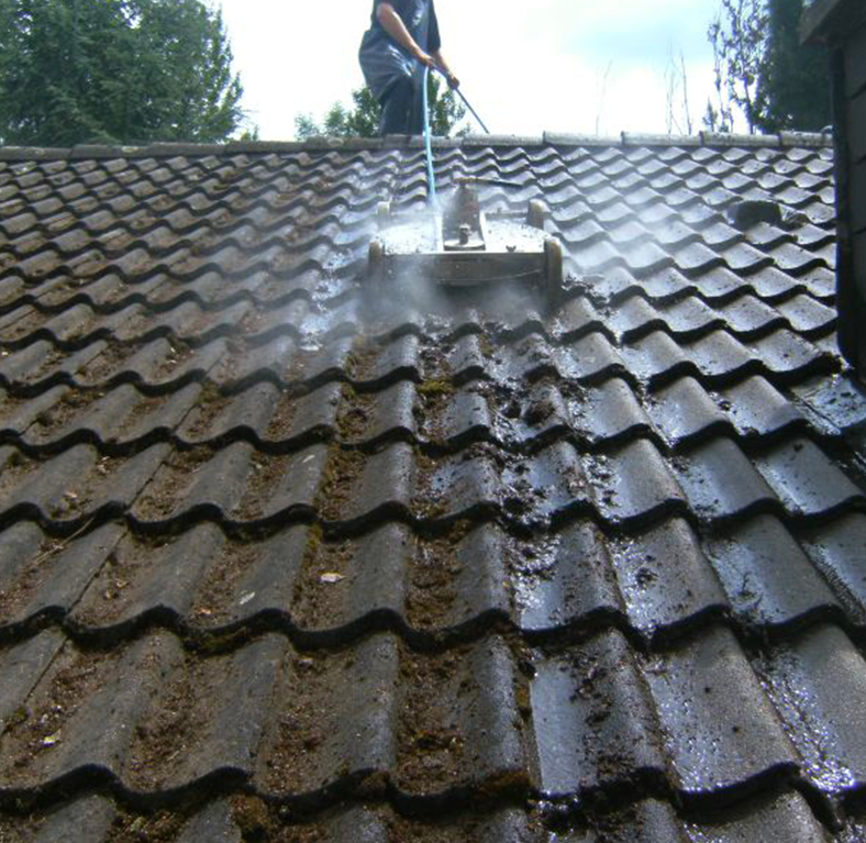 Nettoyage et démoussage de toiture en Seine-et-Marne (77)