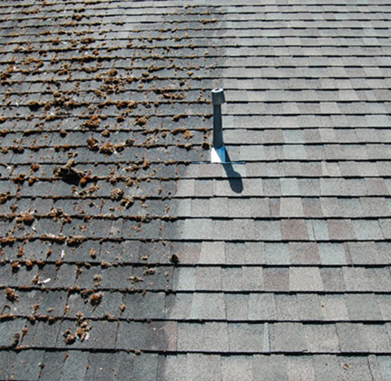 Démoussage Et Nettoyage De Toitures Par Des Spécialistes en Seine-et-Marne