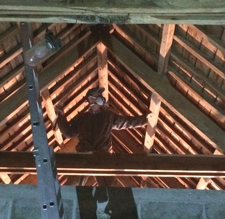 Traitement de charpente en Seine-et-Marne (77)