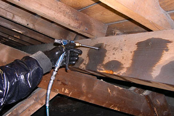 Travaux de Traitement de charpente à Avon (77210) en Seine-et-Marne (77)